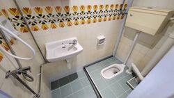 Dunearn Road (D11), Condominium #552807201